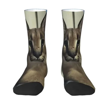 Cool Big Floppa Смешные носки для мемов Женщины Мужчины Теплые 3D-печать Caracal Cat Спортивные футбольные носки для экипажа