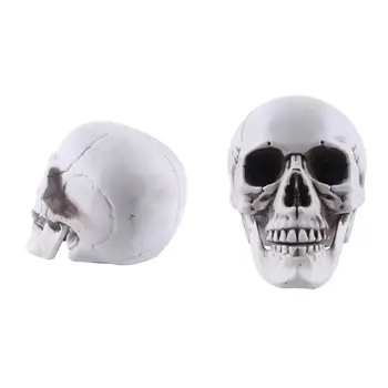 Drama Skull Prop Реалистичная модель черепа в натуральную величину для декора на Хэллоуин Жуткая модель кости головы скелета для кладбища на открытом воздухе