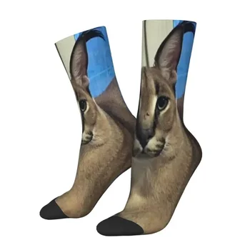 Cool Big Floppa Смешные носки для мемов Женщины Мужчины Теплые 3D-печать Caracal Cat Спортивные футбольные носки для экипажа Изображение 2