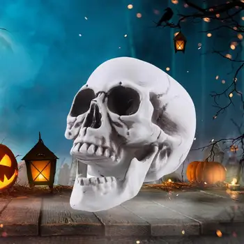 Drama Skull Prop Реалистичная модель черепа в натуральную величину для декора на Хэллоуин Жуткая модель кости головы скелета для кладбища на открытом воздухе Изображение 2