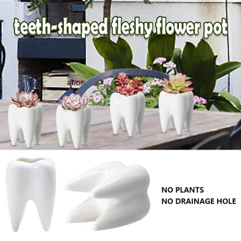  керамический горшок для растений в форме зуба украшение сцены цветочные горшки для декора посадки Изображение 2